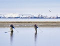 Men Clamming in Rhode Island Royalty Free Stock Photo