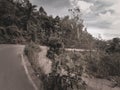 Province road near the townside in borneo Royalty Free Stock Photo