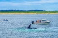 Provincetown, Cape Cod, Massachusetts, US - August 15 2017 Boat, his crew and whale