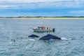 Provincetown, Cape Cod, Massachusetts, US - August 15, 2017 Boat, his crew and whale