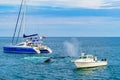 Provincetown, Cape Cod, Massachusetts, US - August 15, 2017 Whale between two small ships