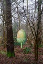 Giant acorn in the woods