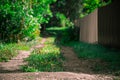 Provincial road in the day among green grass Royalty Free Stock Photo