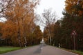 Provincial road thourht forest with a double curve sign Royalty Free Stock Photo