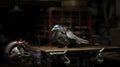 Birds are not real. Mechanical Pigeons - Satirical Depiction of Birds as Surveillance Bots