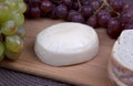 Provolone Cheese