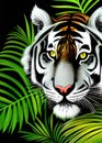 Prowling tiger in a tropical rainforest on black background AI art