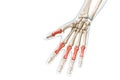 Proximal phalanx bones in red with body 3D rendering illustration isolated on white with copy space. Human skeleton, hand and