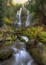 Proxy Falls Royalty Free Stock Photo