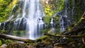 Proxy Falls in Afternoon Light