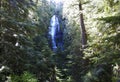 Proxy Falls, Columbia River Gorge Scenic Area, Oregon, United States Royalty Free Stock Photo