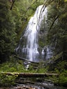 Proxy Falls, Columbia River Gorge Scenic Area, Oregon, United States Royalty Free Stock Photo