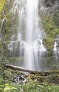 Proxy Falls Royalty Free Stock Photo