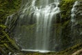 Proxy Falls