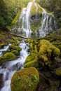 Proxy falls and mossy logs in Oregon Royalty Free Stock Photo