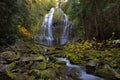Proxy Falls in Oregon USA Royalty Free Stock Photo