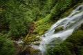 Proxy falls, Oregon Royalty Free Stock Photo