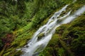 Proxy falls, Oregon Royalty Free Stock Photo