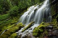 Proxy falls, Oregon Royalty Free Stock Photo