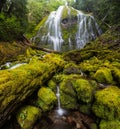 Proxy falls in oregon rain forest Royalty Free Stock Photo