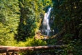 Proxy Falls, Willamette National Forest, Oregon Royalty Free Stock Photo