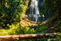 Proxy Falls, Willamette National Forest, Oregon Royalty Free Stock Photo