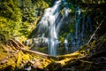 Proxy Falls, Willamette National Forest, Oregon Royalty Free Stock Photo