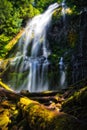 Proxy Falls, Willamette National Forest, Oregon Royalty Free Stock Photo