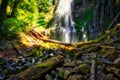 Proxy Falls, Willamette National Forest, Oregon Royalty Free Stock Photo