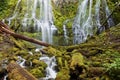 Proxy waterfall cascading over mossy rocks at sunset Royalty Free Stock Photo