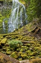 Proxy waterfall cascading over mossy rocks