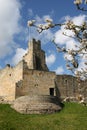 Prudhoe Castle Royalty Free Stock Photo