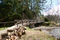 Pruhonice, Czech Republic - March 29, 2024 - the Borin Pond in the Pruhonice Park near Prague at the beginning of spring