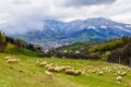 Landscape from Prundu Bargaului village, Bistrita Nasaud county, Transylvania