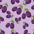 Prune fruit,seamless pattern background