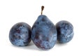 Prune plum Royalty Free Stock Photo