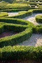 Pruned boxwood in a french formal garden Royalty Free Stock Photo