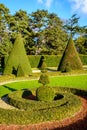 Pruned boxwood and yew trees in a french formal garden