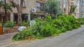 Pruned green branches on sidewalk