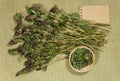 Prunella vulgaris. Dry herbs. Herbal medicine, phytotherapy medicinal herbs.