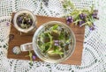 Prunella vulgaris known as common self-heal  heal-all  woundwort  heart-of-the-earth  carpenter`s herb  brownwort herbal tea. Royalty Free Stock Photo