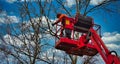 Pruner on cherry picker cutting tree in the air Royalty Free Stock Photo