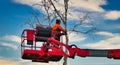 Pruner on cherry picker cutting tree in the air Royalty Free Stock Photo