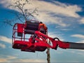 Pruner on cherry picker cutting tree in the air Royalty Free Stock Photo