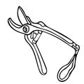 Pruner or secateur vector sketch. Gardening tool icon.