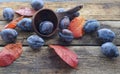 Prunes on a wooden background with yellow red autumn leaves