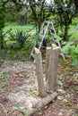 after pruning an acacia tree, the cut tree trunk, the remains of branches and a ladder in the background are visible Royalty Free Stock Photo