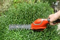 Pruning a buxus hedge with a mini hedge trimmer