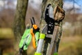 Pruning fruit trees. Pruning shears. Springtime gardening. Gardening equipment lifestyles shot.