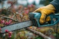 Pruning fruit trees. Trimming weak, diseased branches in the spring using a cordless saw. Gardening. Royalty Free Stock Photo